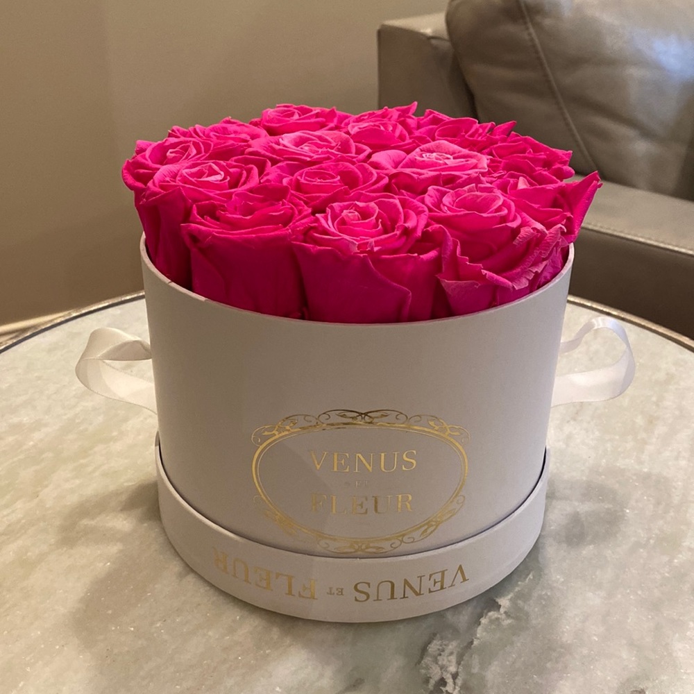 venus et fleur pink roses💖